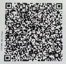 UPI QR Code
